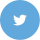 twitter icon